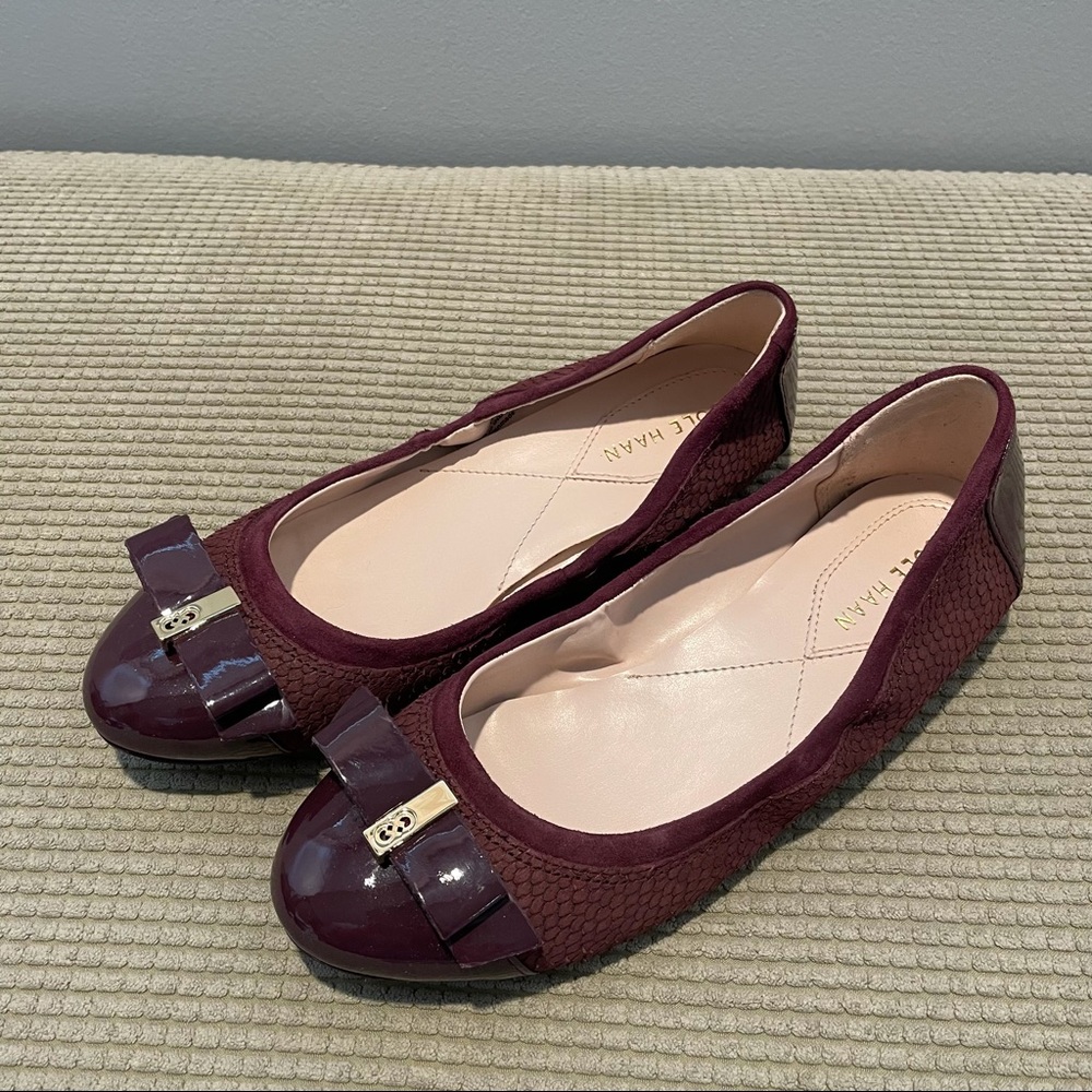 Cole Haan Ballet Flats (NWOT)